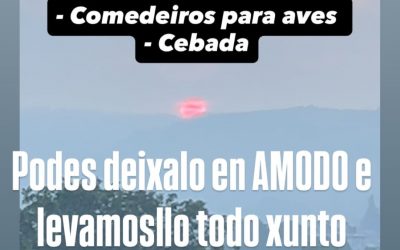 Necesitan comederos y cebada aves