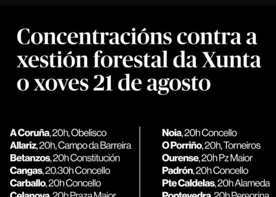 HOY. Concentración.
