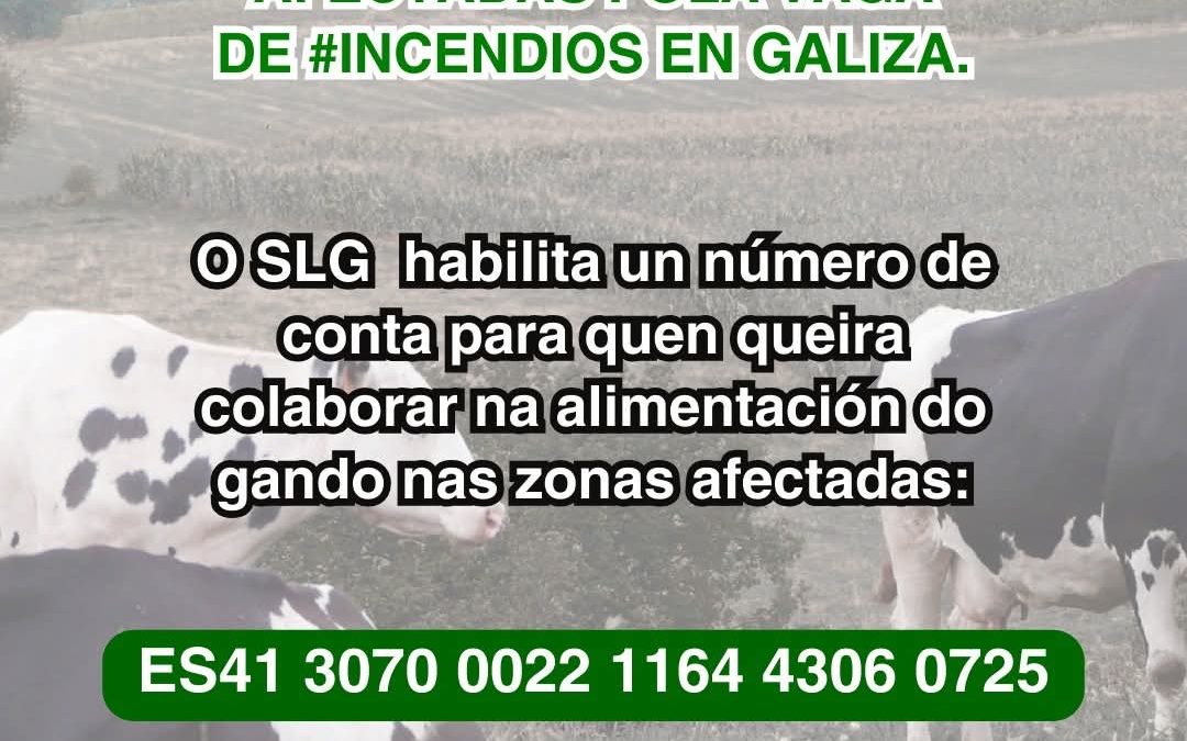 AYUDA A LAS PERSONAS AFECTADAS