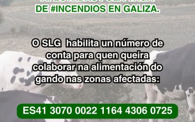 AYUDA A LAS PERSONAS AFECTADAS