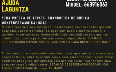 Ayuda comida para animales