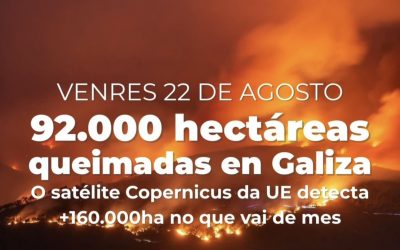 Actualización hectáreas queimadas