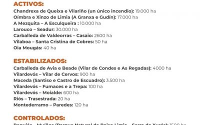 Datos oficiales actualizados
