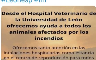 VETERINARIOS OFRECEN AYUDA