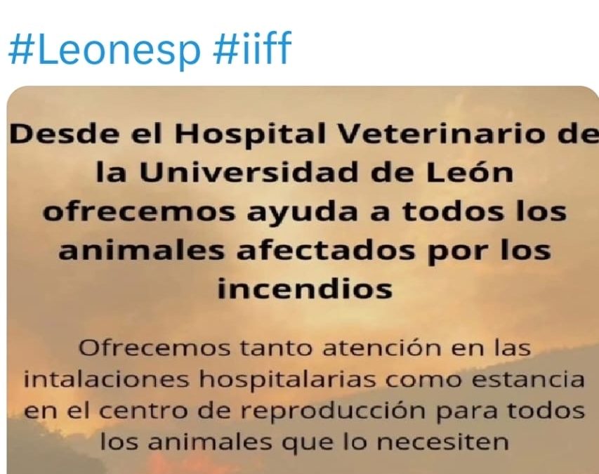 VETERINARIOS OFRECEN AYUDA